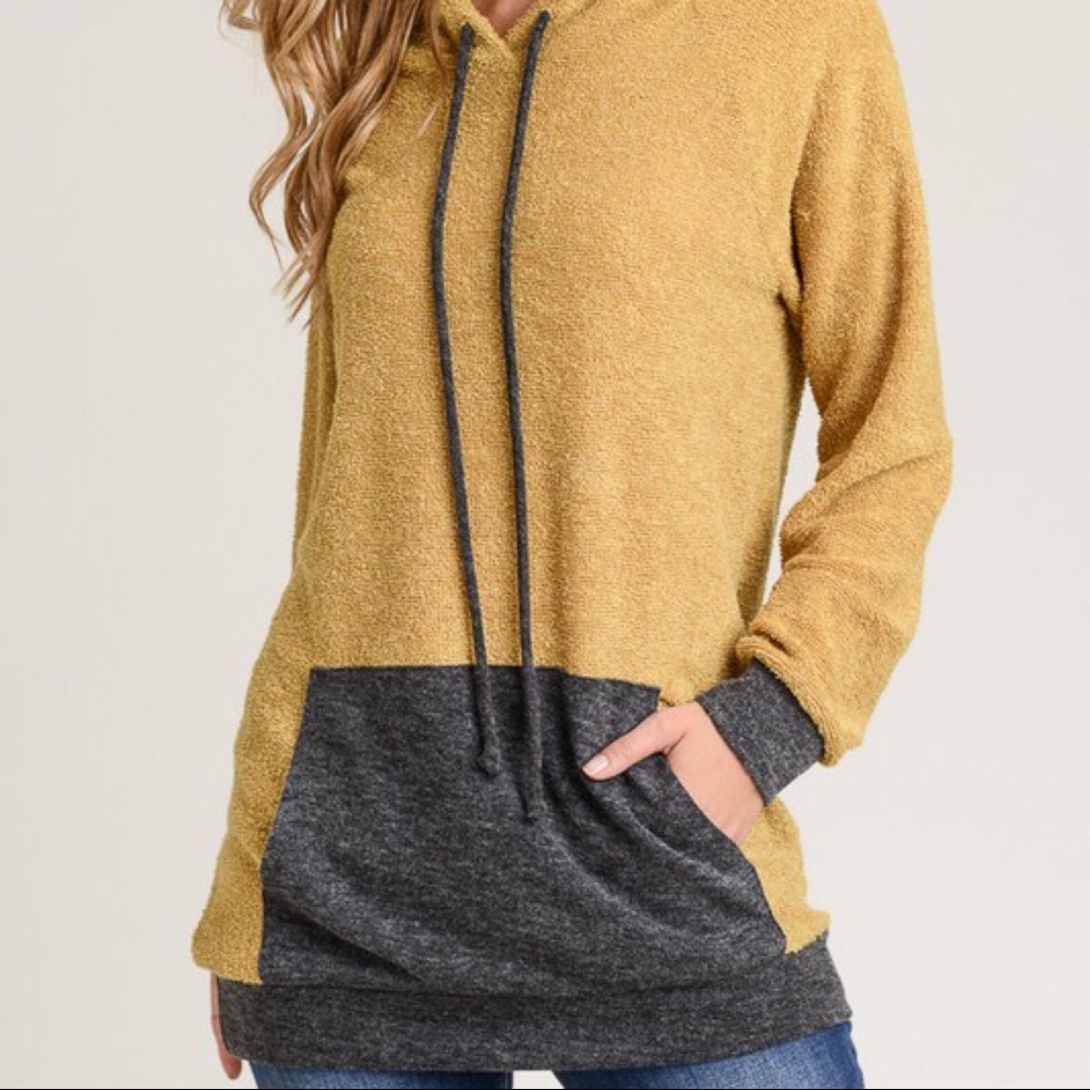 LAST‼️Block Color Terry Hoodie - Picture 2 of 5